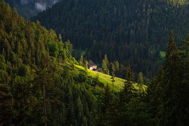 When Must You Receive a Defensive Foreign Travel Briefing? Mountains with greenery